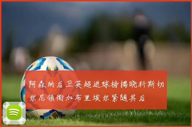 阿森纳后卫英超进球榜揭晓科斯切尔尼领衔加布里埃尔紧随其后